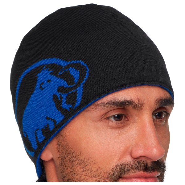 

Шапочка с логотипом Mammut Mammut, мультиколор