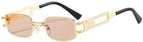 

HaoLMi - Женские солнцезащитные очки в стиле стимпанк, мужские ретро-очки в стиле панк, очки для вождения с защитой от УФ-излучения UV400, металлические прямоугольные солнцезащитные очки, C5gold-lightbrown