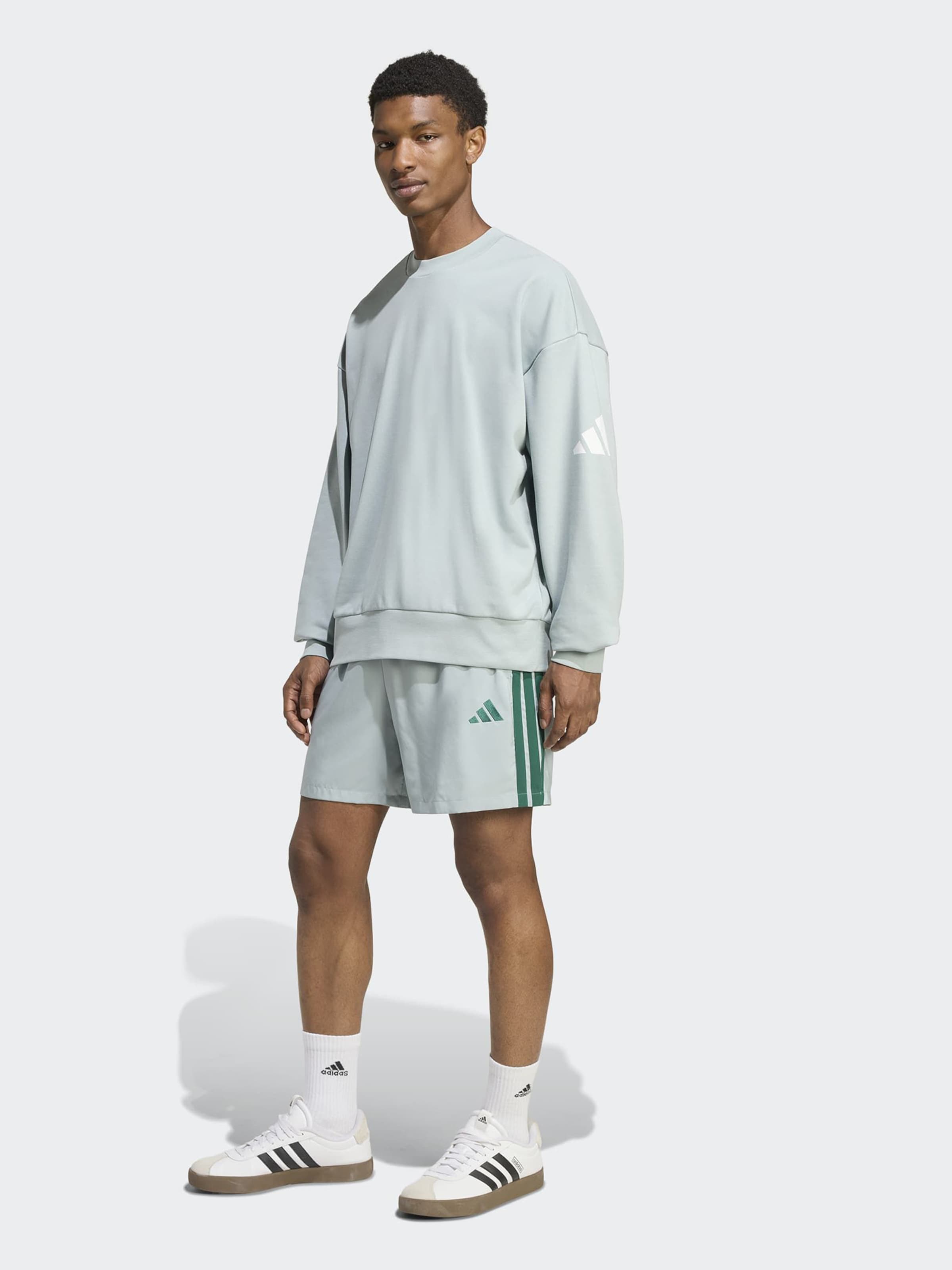 

Adidas Sportswear Шорты для тренировок Regular 'Essentials Chelsea' в цвете Reed, Pastel Green