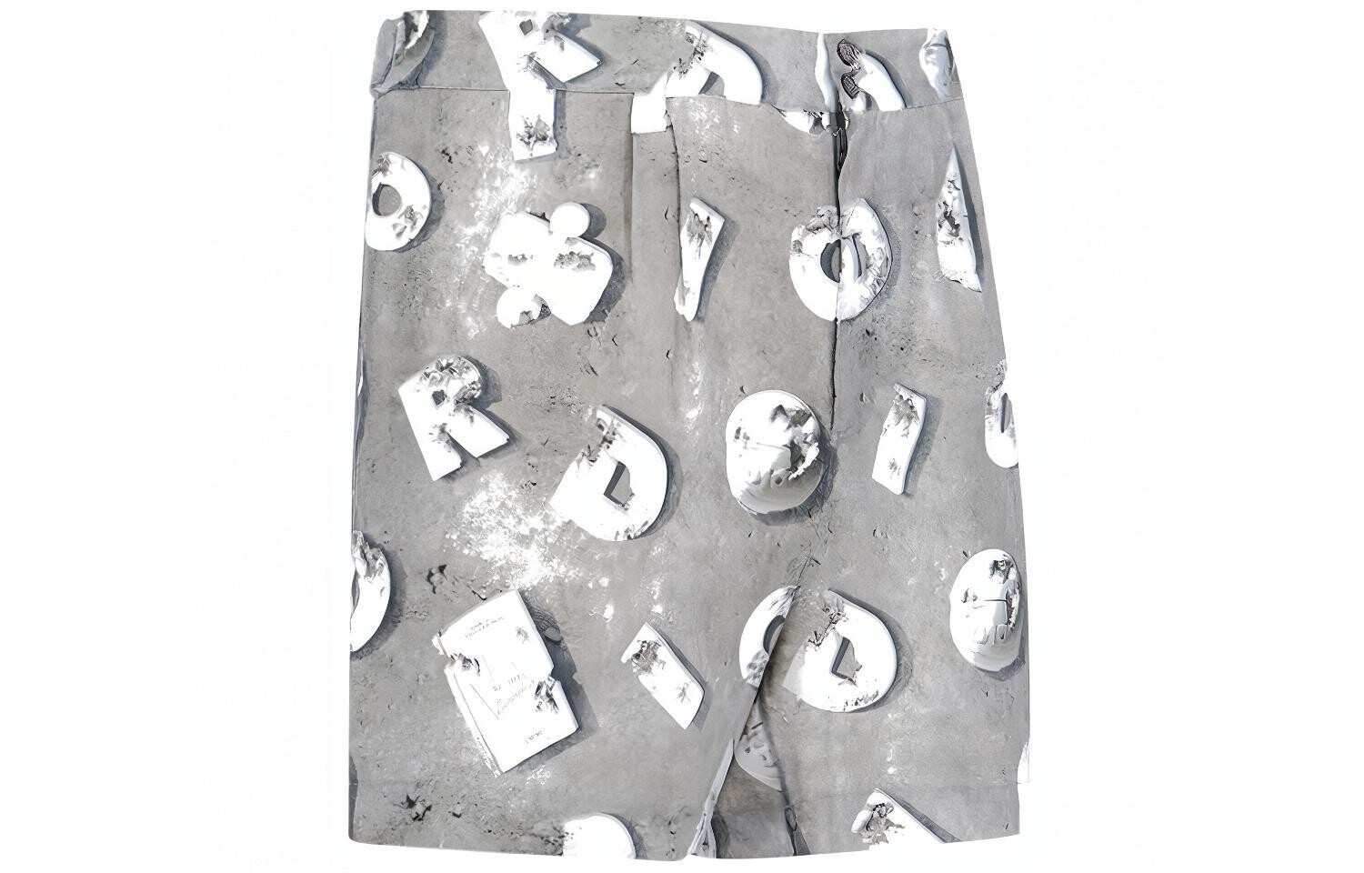 Daniel Arsham Quarterly Новые продукты Повседневные шорты Мужские Серые Dior, серый — фото 3
