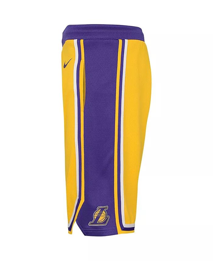 Шорты Big Boys Gold Los Angeles Lakers Icon Edition Mesh Performance Swingman Nike — фото 2