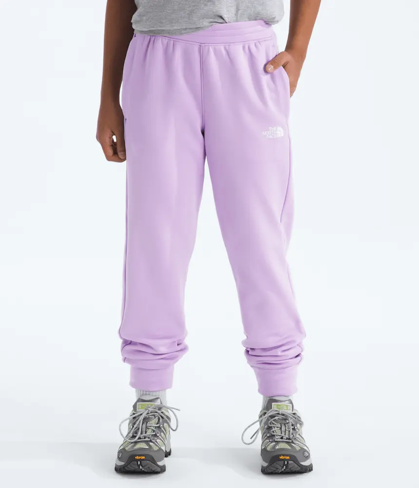 Флисовые спортивные брюки TNF Performance для мальчиков и девочек The North Face, Lite Lilac — фото 2