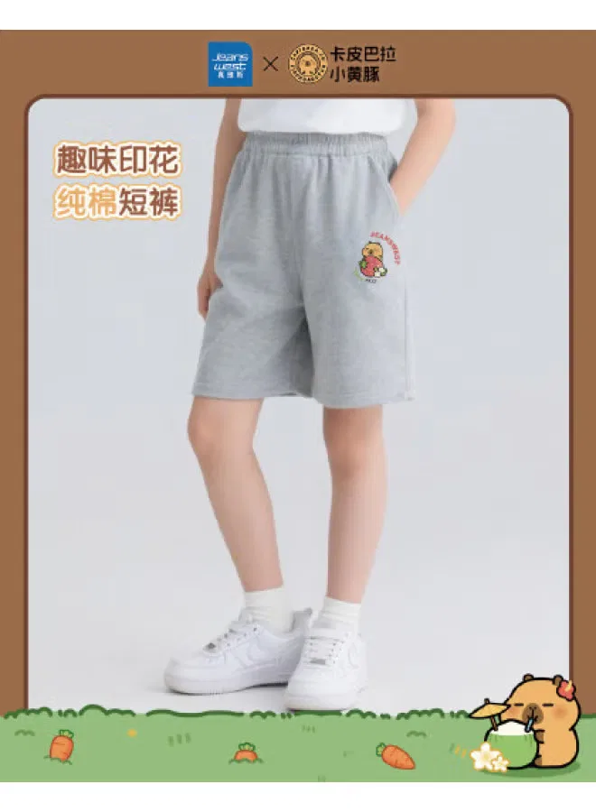 Шорты хлопковые с принтом Capybara x little yellow dolphin Jeanswest, серый