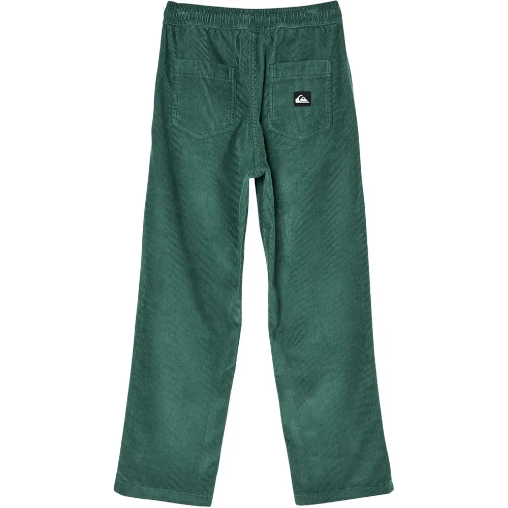 Детские брюки для мальчиков из корда Taxer Quiksilver, Green — фото 2