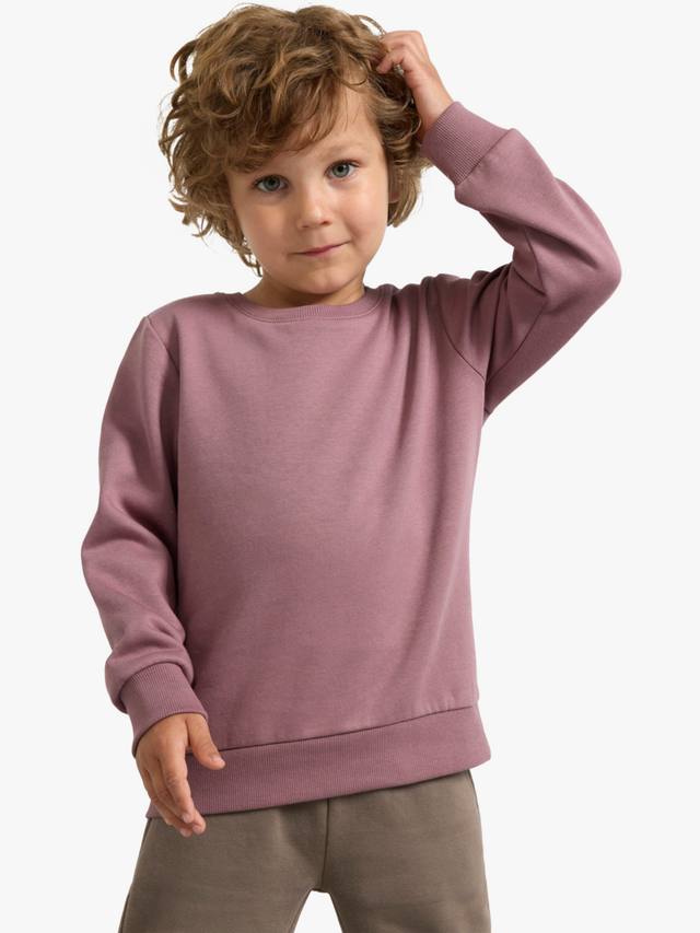 

Детская толстовка с круглым вырезом Lindex, цвет Dusty Lilac