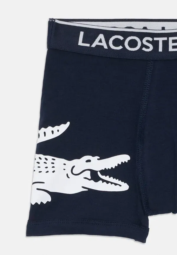 Комплект из 3 трусов-боксеров с графическим рисунком Lacoste, морской — фото 4