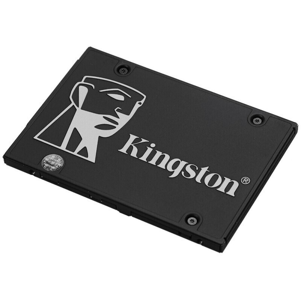 Ssd Диск 1тб Купить Днс