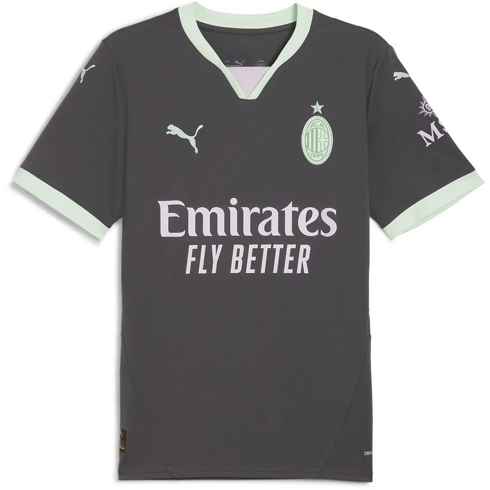 

Футболка с коротким рукавом Puma AC Milan 24/25 Third, серый