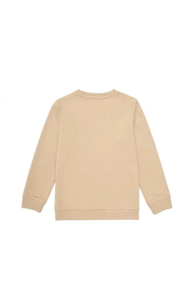 Детское для мальчиков свитшот хлопковый U.S. Polo Assn., Sand — фото 2