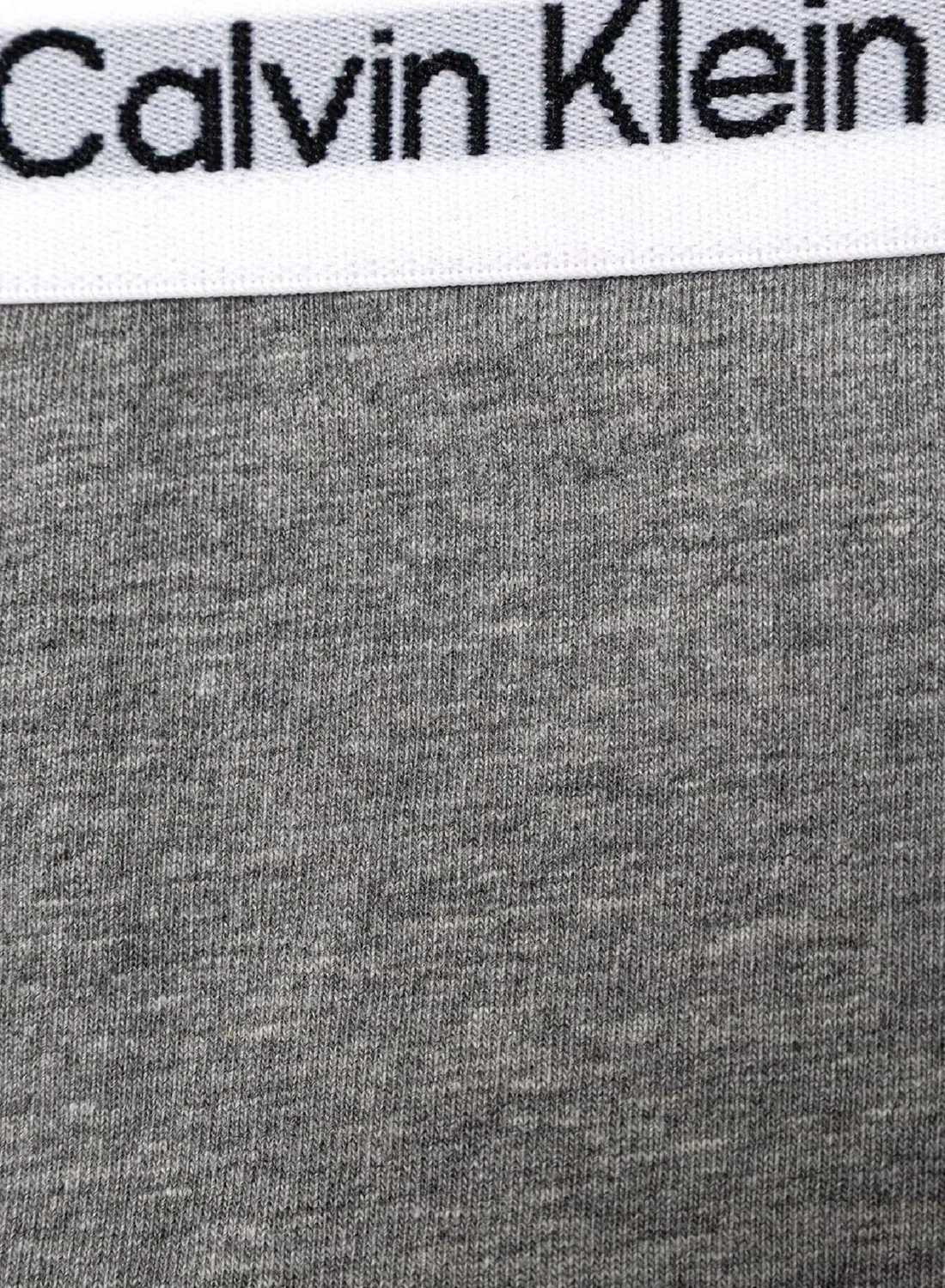 Трусы-боксеры с логотипом на поясе, комплект из 2 штук, 2-Pack repeat logo waistband trunks, Calvin Klein Jeans, серый — фото 3