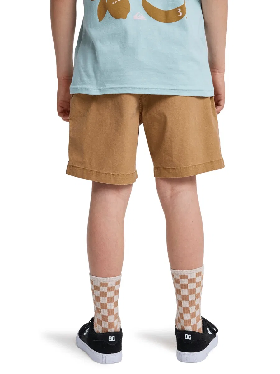 Шорты QUIKSILVER Regular Pants 'Taxer Youth 15' коричневого цвета — фото 2