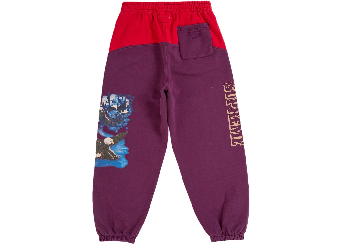 Мужские спортивные штаны с принтом Eagle Supreme MM6 Maison Margiela, Purple — фото 2