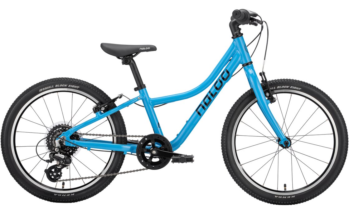 

Горный велосипед Naloo Chameleon 20" MK2 - 20 дюймов - Diamant - 2023, цвет Blau|Light Blue