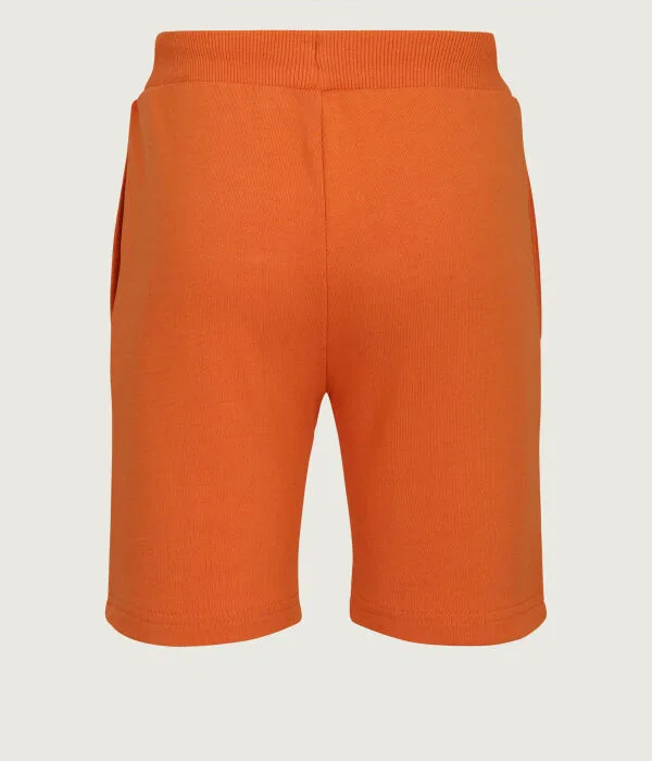 Детские шорты для мальчиков Regular Fit Guess, Arancione — фото 2