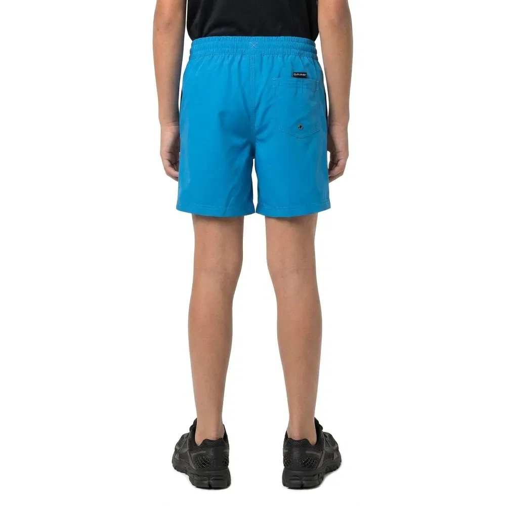 Шорты для плавания Everyday Malibu Volley 14'' Quiksilver, синий — фото 4
