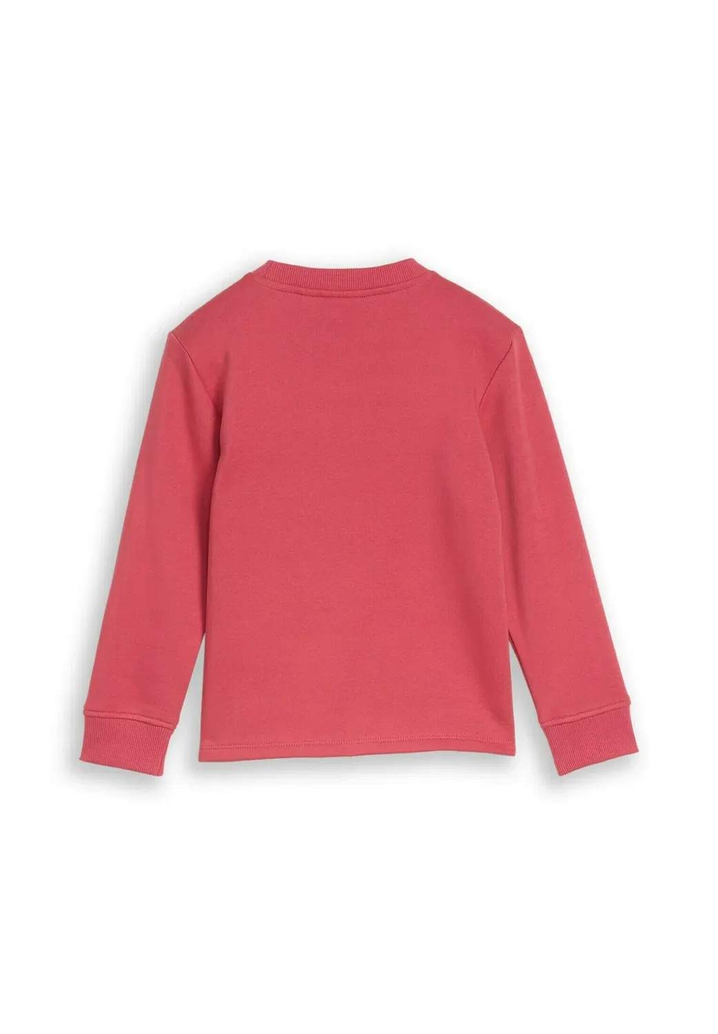 Толстовка Strick & sweatshirts с принтом - толстовка Tom Tailor, Berry Red — фото 2