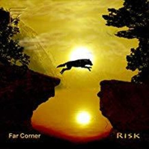 

CD диск Far Corner: Risk