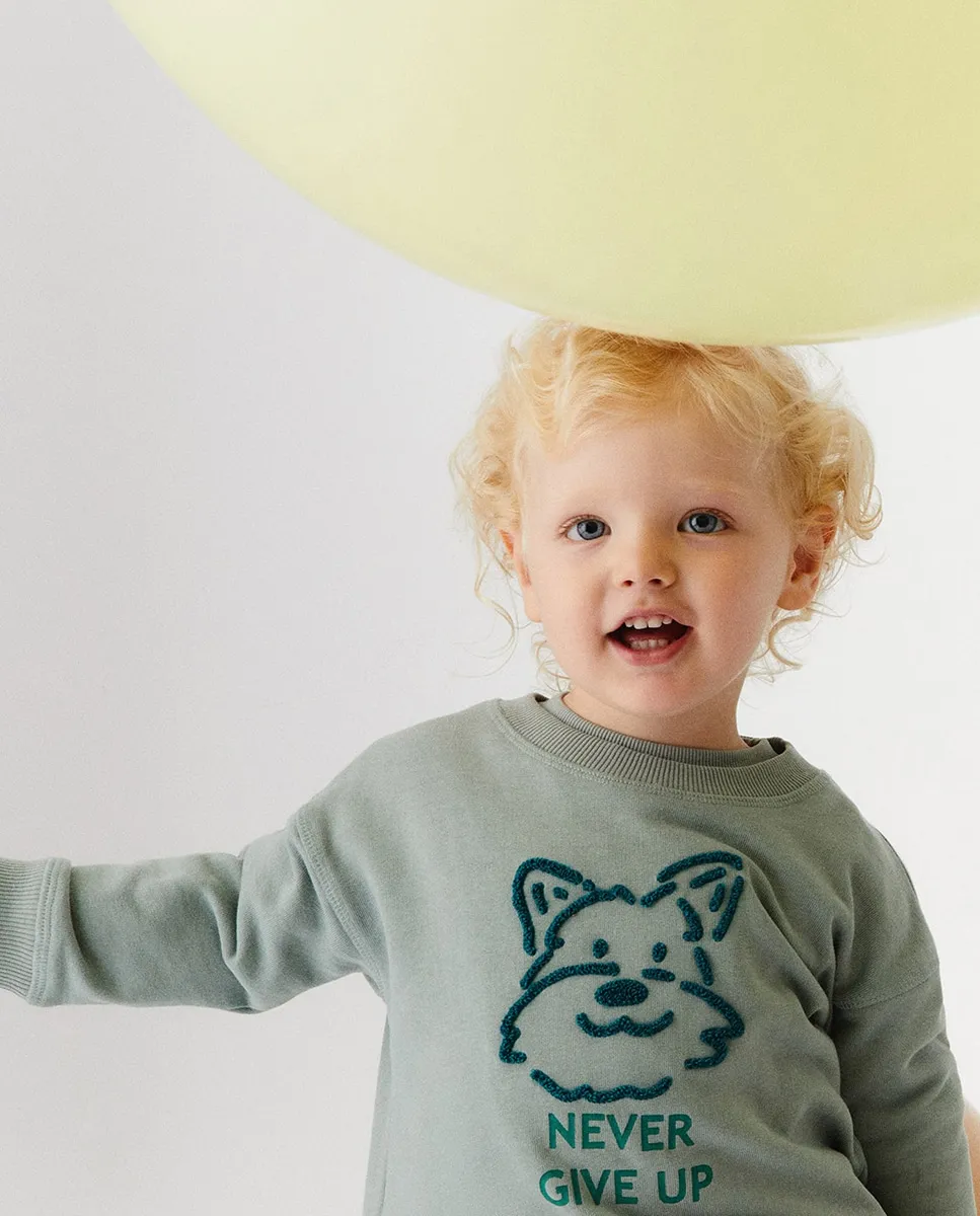 

Толстовка для собак с полотенцем Sfera, светло-зеленый