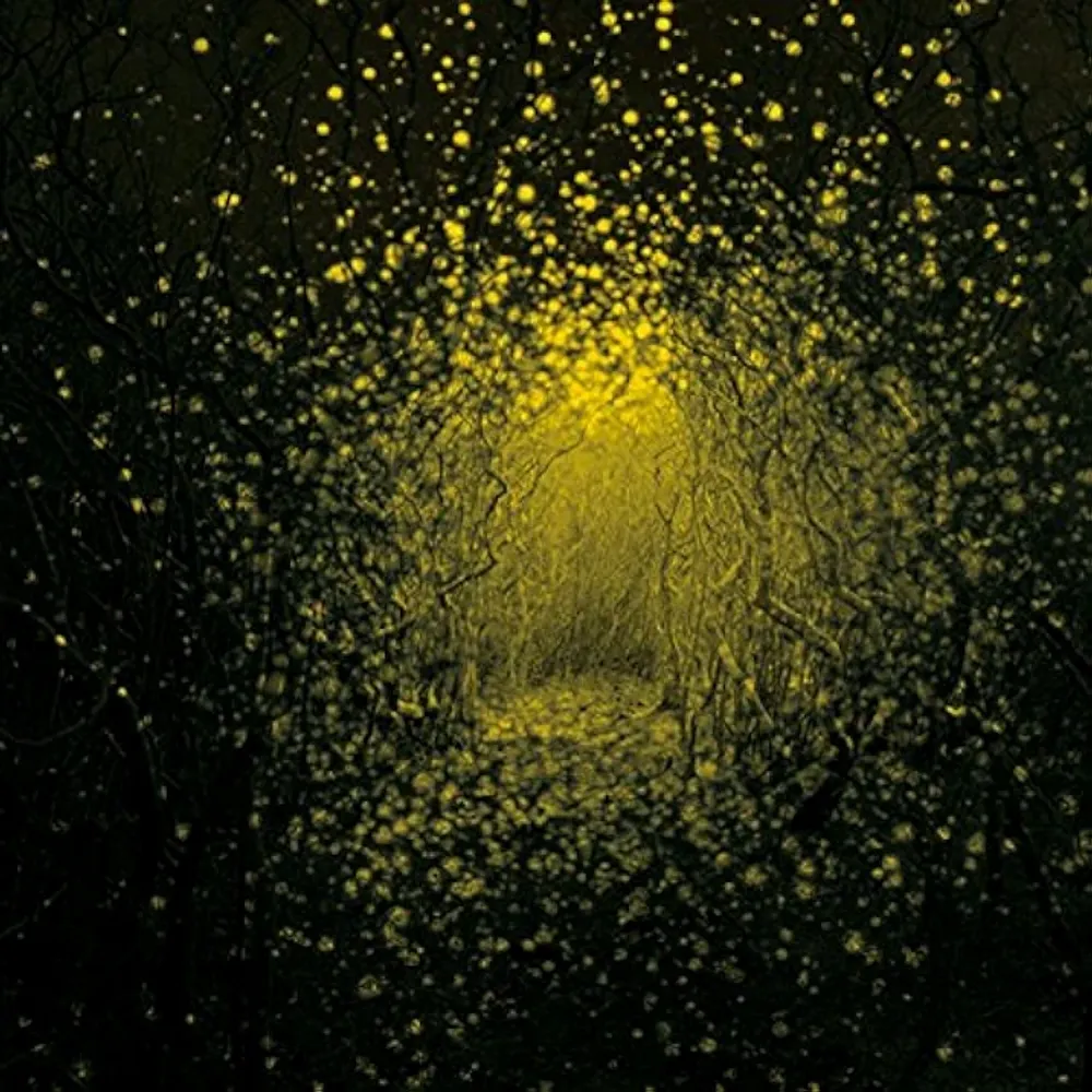 

Виниловая пластинка LP Burst Apart [Lemonade Yellow Vinyl] - The Antlers