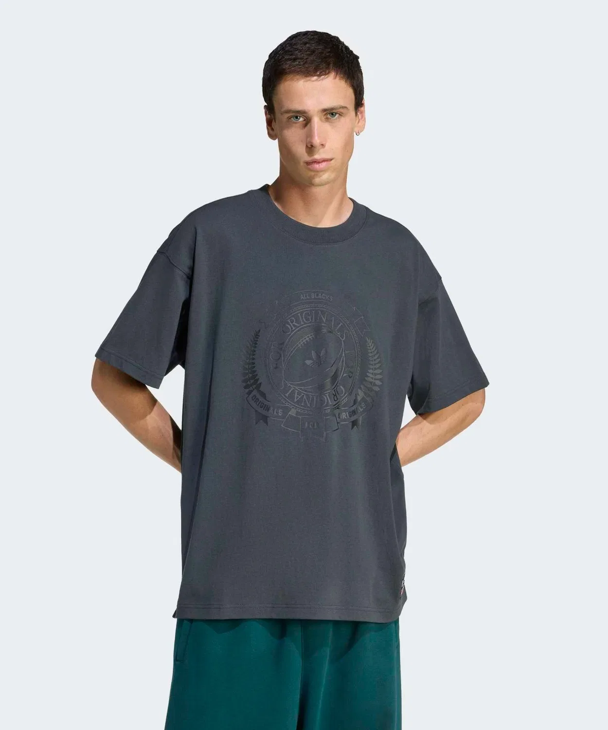 Мужская футболка с принтом Adidas Originals & All Blacks, Grey
