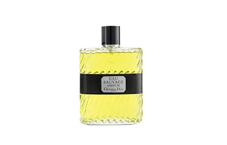 Мужская туалетная вода Dior Fresh Water Dark Scent Edition, 100 мл, Citrus Scent Parfum, Bergamot Petitgrain Vetiver, DIOR, Dark Scent — фото 2