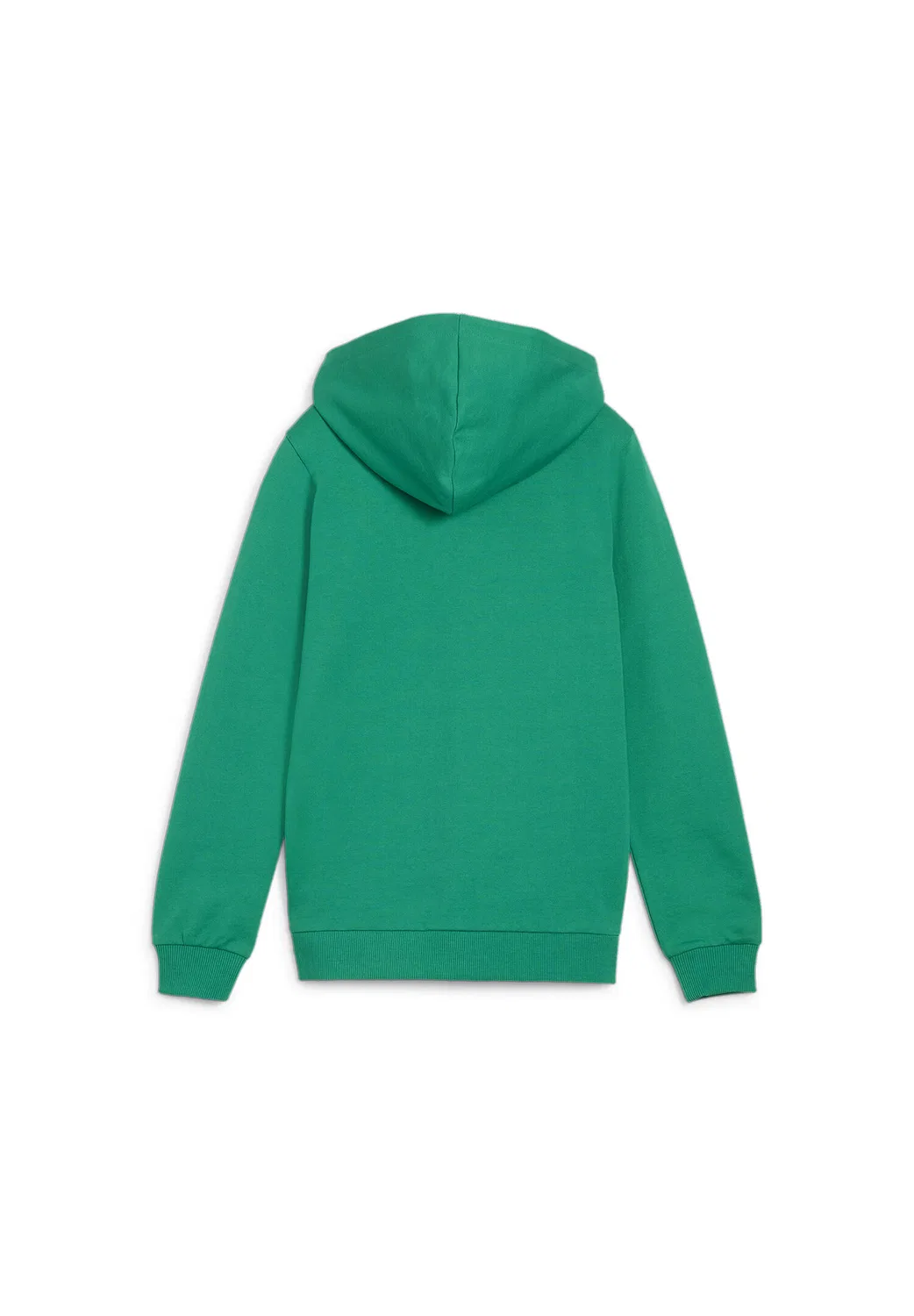 Детское худи teamGOAL Casuals Hooded Jacket Jr Puma, Grun — фото 2