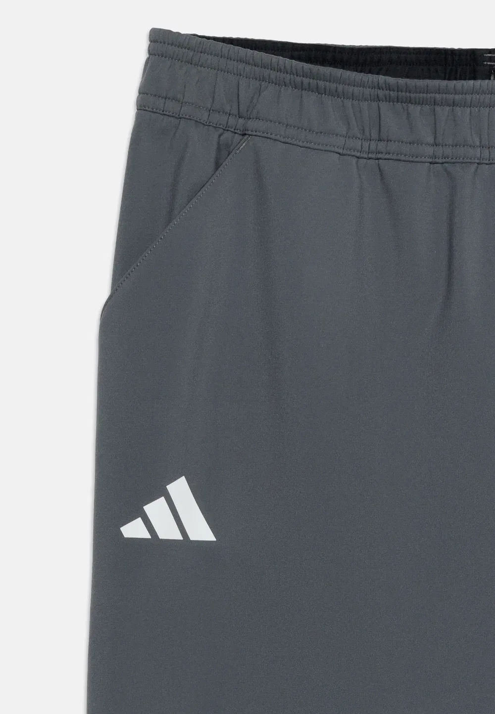 Унисекс брюки Minecraft - брюки для активного отдыха Adidas Terrex, Grey — фото 4