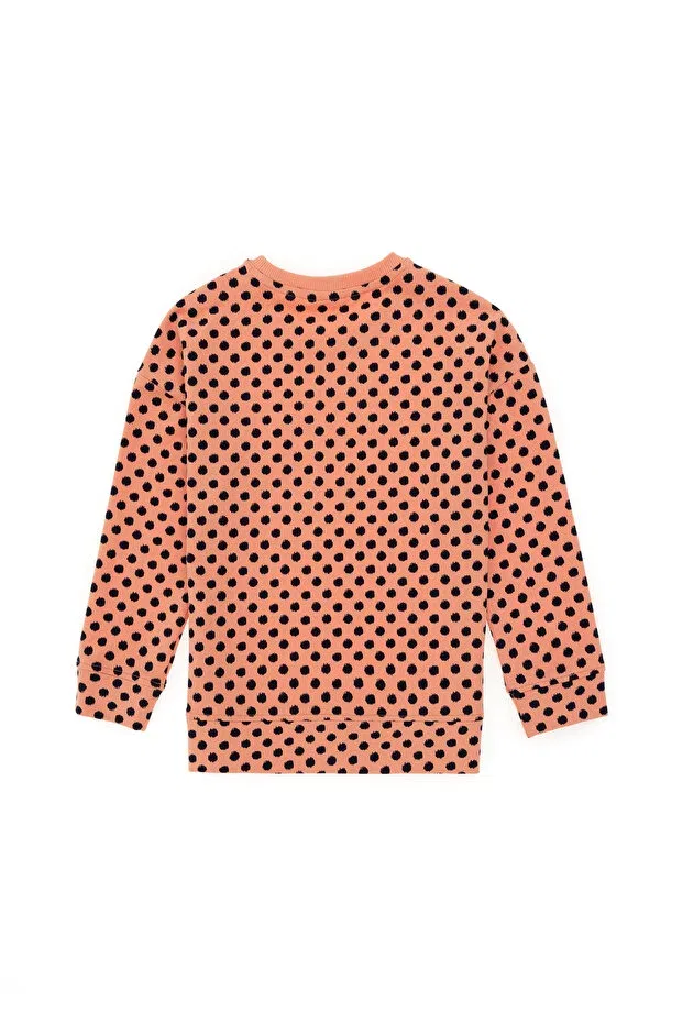 Детские свитшот для девочек с длинным рукавом U.S. Polo Assn., Salmon — фото 4