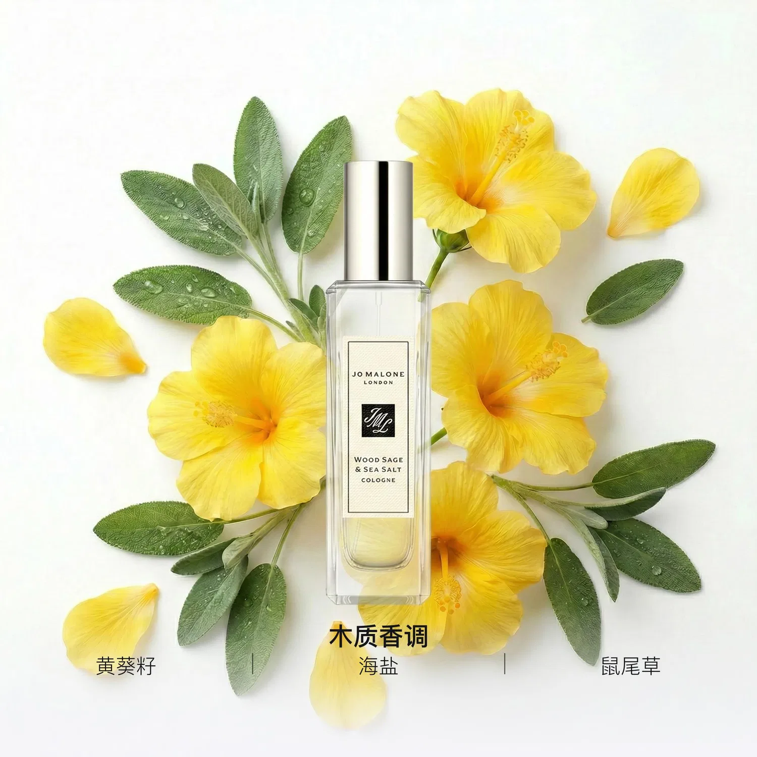 Парфюмерная вода Jo Malone London Sage And Maris Sal Pick Moonlight Box, 100 мл, Yellow Sunflower Seed — фото 3