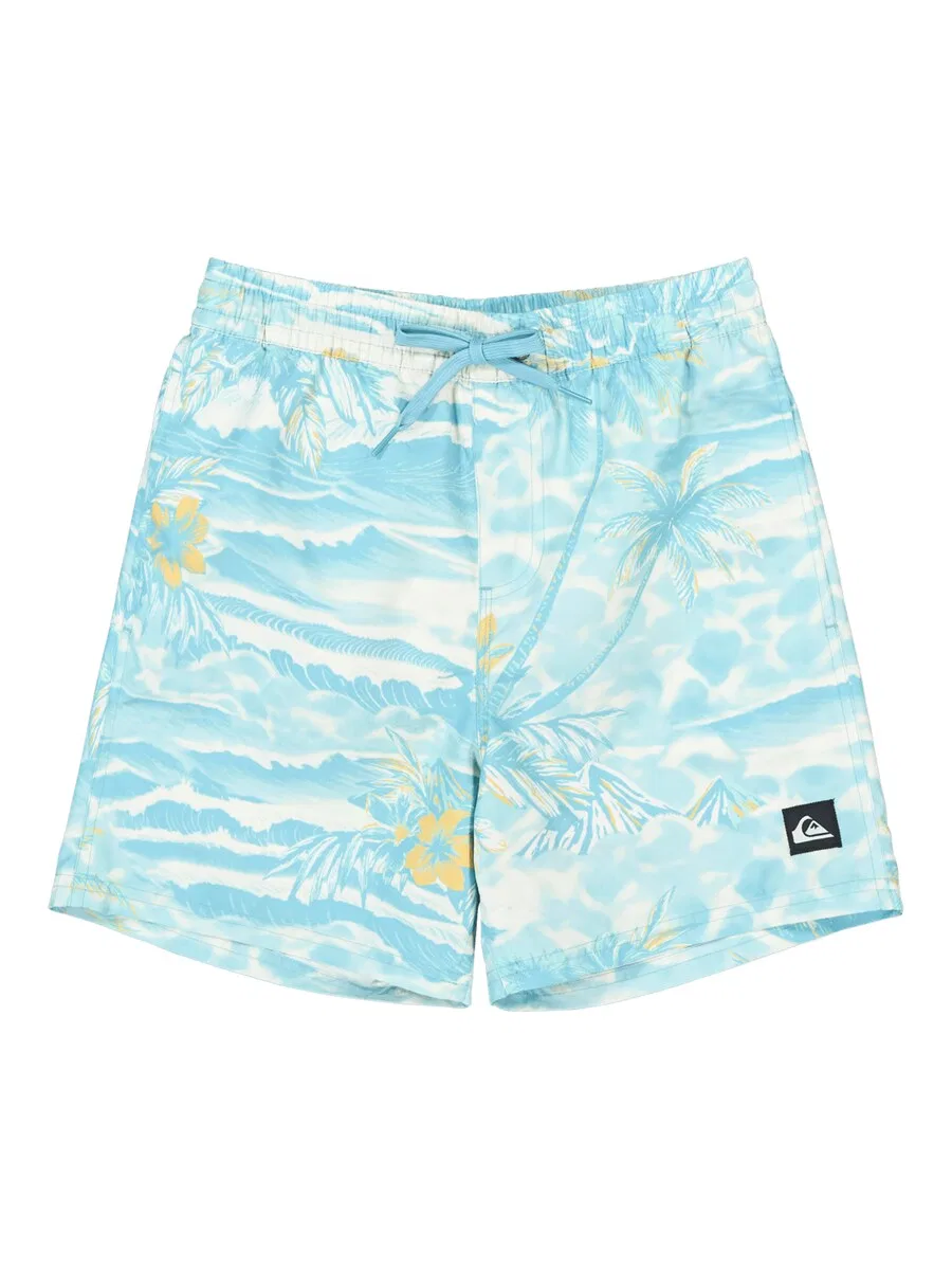 Шорты для плавания QUIKSILVER 'Everyday' небесно-голубого цвета