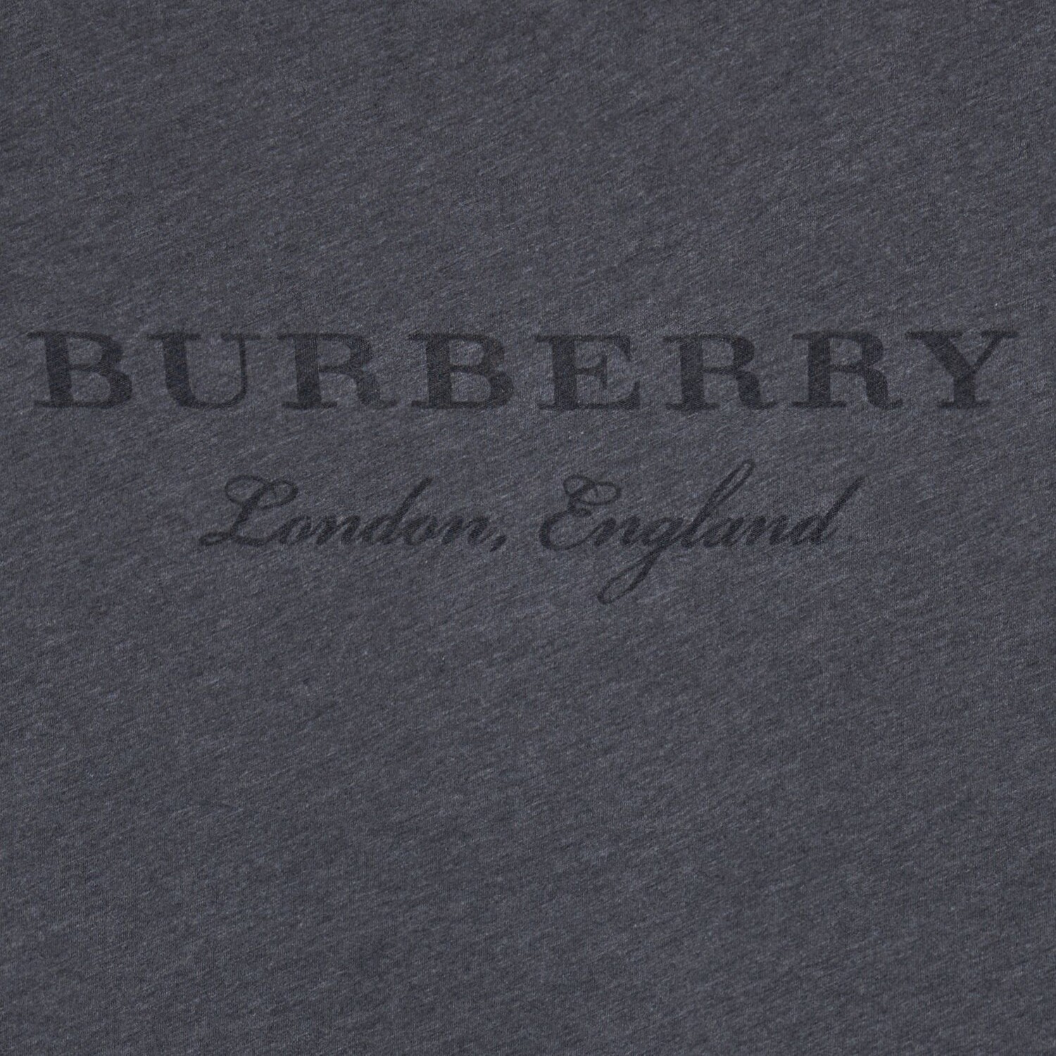 Футболка мужская Burberry средне-серый, серый — фото 4