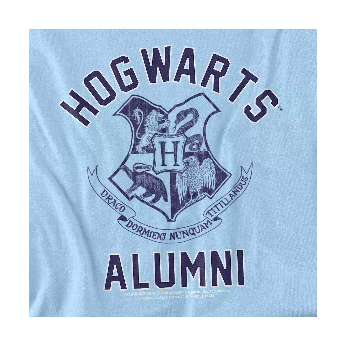 Детская футболка для мальчиков с принтом Harry Potter Hogwarts Alumni Harry Potter, Light Blue — фото 2