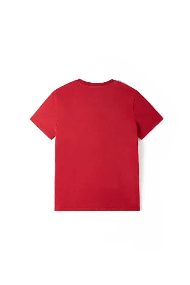 Детская футболка для мальчиков с коротким рукавом Galatasaray kids ata 1905 t-shirt Gsstore, 142334 — фото 4