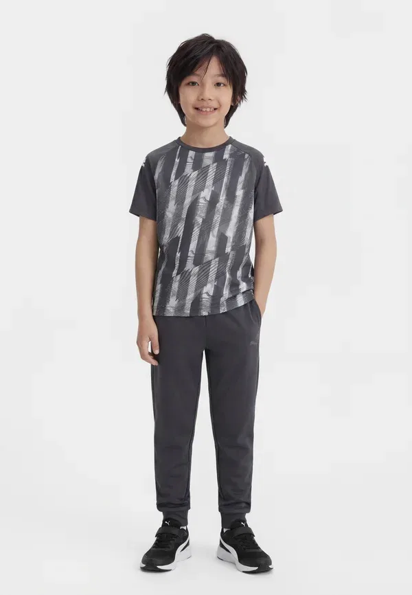Футболка с принтом Individualliga graphic unisex, Puma, Mineral Cobalt, Vapor Gray, Icy Blue, синий/серый