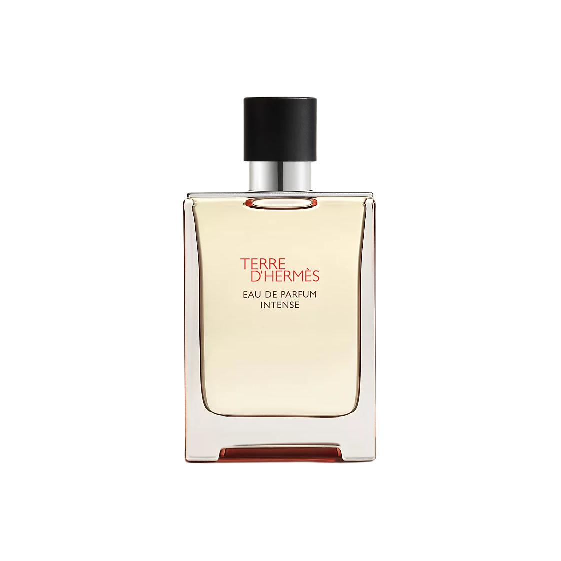 Парфюмерная вода Hermès Terre d'Hermès Intense, 50 мл