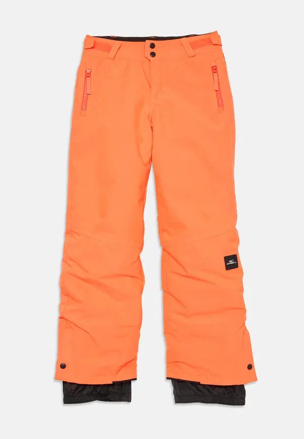 Брюки утепленные Unisex O'Neill Tokyo Lights