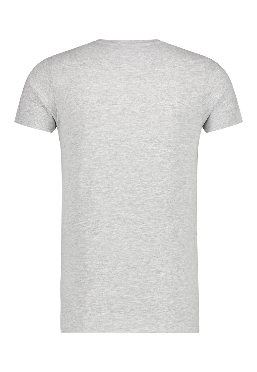 

Футболка с принтом TREVISIO Cerruti 1881, цвет Mottled Grey