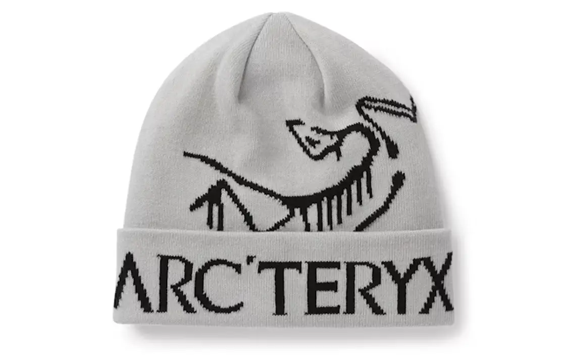 

Мужская шапка Arcteryx, цвет gray-orca