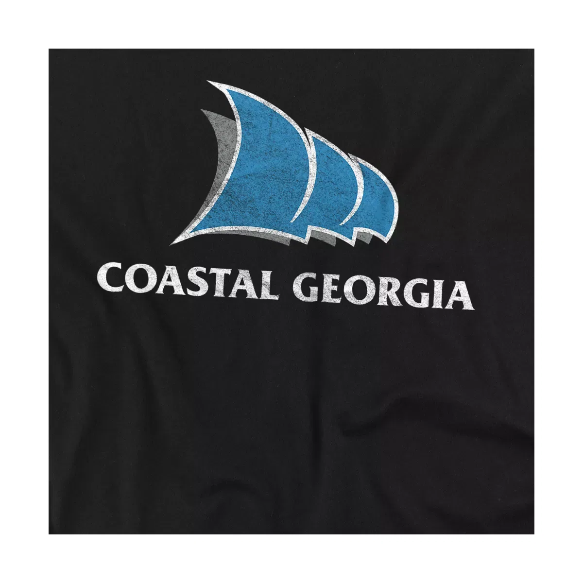 Детская футболка с принтом College Of Coastal Georgia Distressed Primary Logo NCAA, Black — фото 2