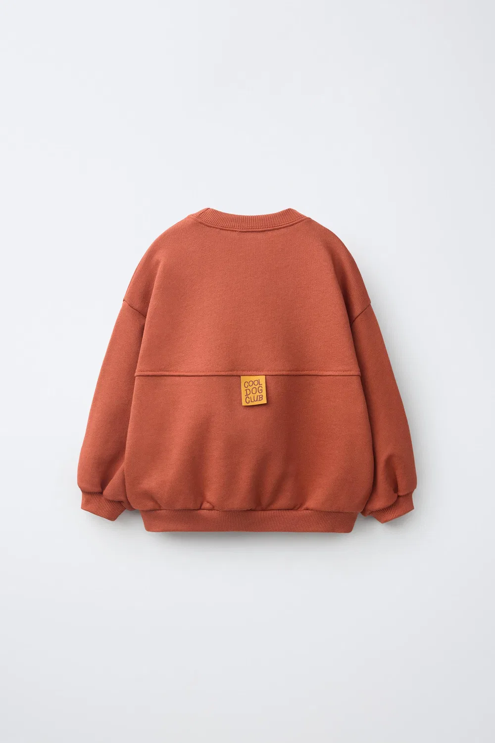 Толстовка с принтом щенка ZARA, Russet — фото 2