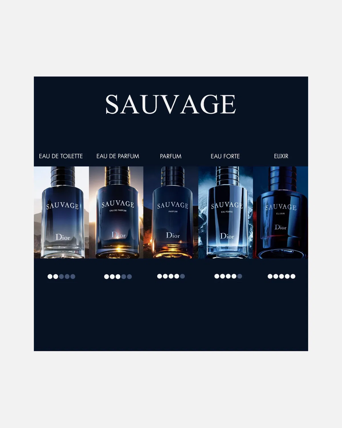 Eau de parfum sauvage Dior, 300 Ml- Refill — фото 4