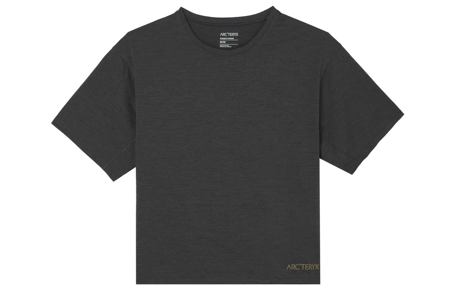 Футболка Taema Series Arcteryx, Black/BLK-Green Print