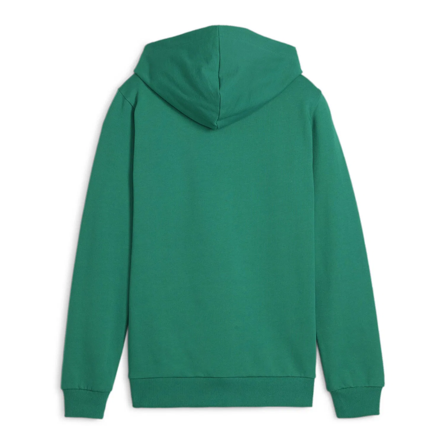 Детское худи из футера с капюшоном teamGOAL Casuals Hoody Puma, Grun — фото 3