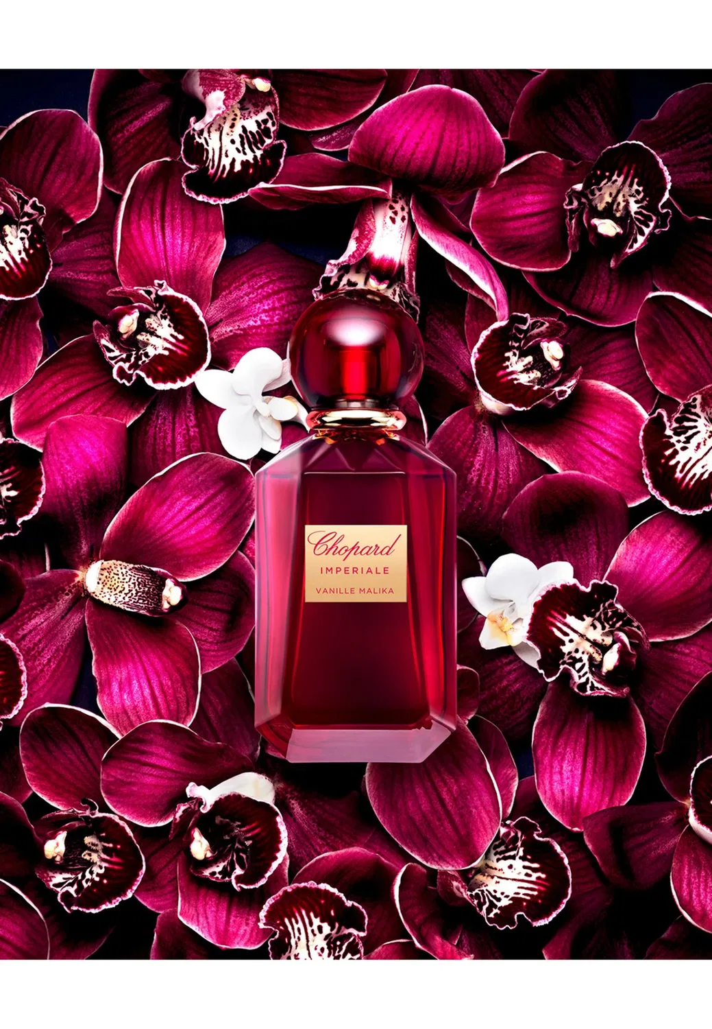 Chopard Imperiale Vanille Malika edp - парфюмированная вода Chopard Fragrances, 100 мл — фото 3