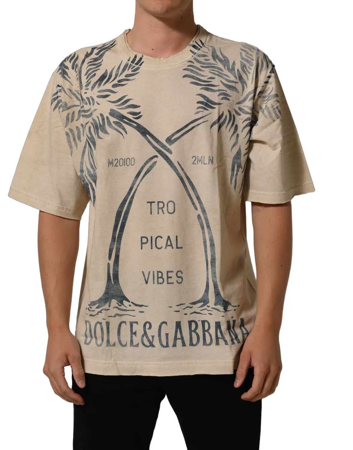 Мужская футболка с принтом Tropical Vibes Dolce & Gabbana, Beige — фото 4