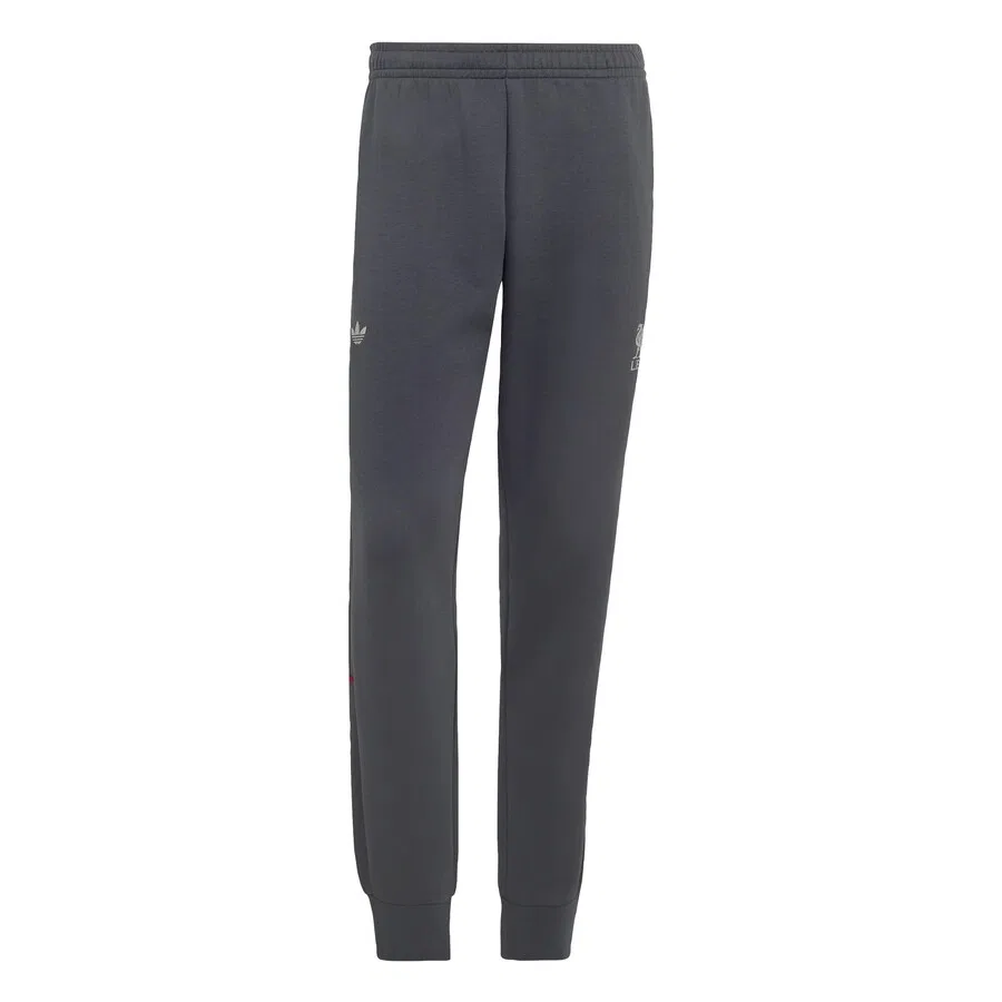 Спортивные брюки ADIDAS PERFORMANCE Regular Workout Pants 'LFC Teamgeist 26' темно-серого цвета