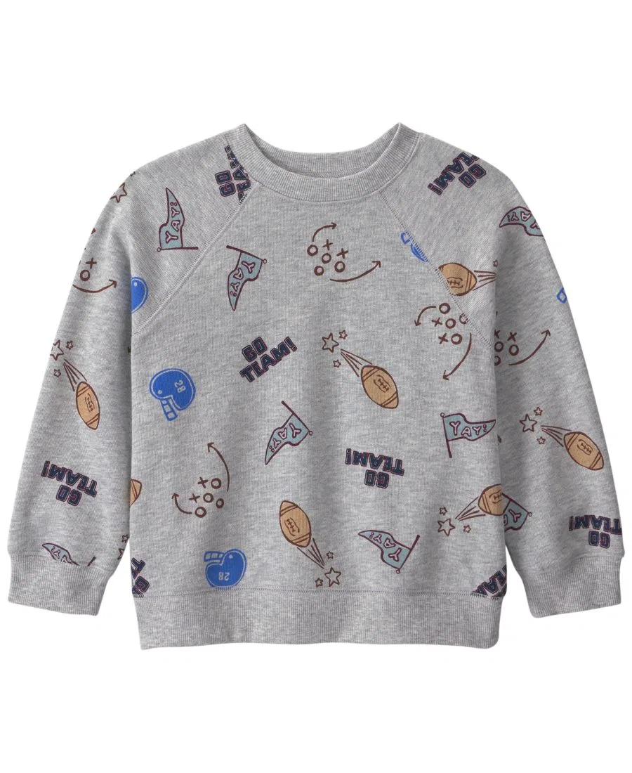 Свитшот с круглым вырезом и длинным рукавом Game Day Carter's, Gray