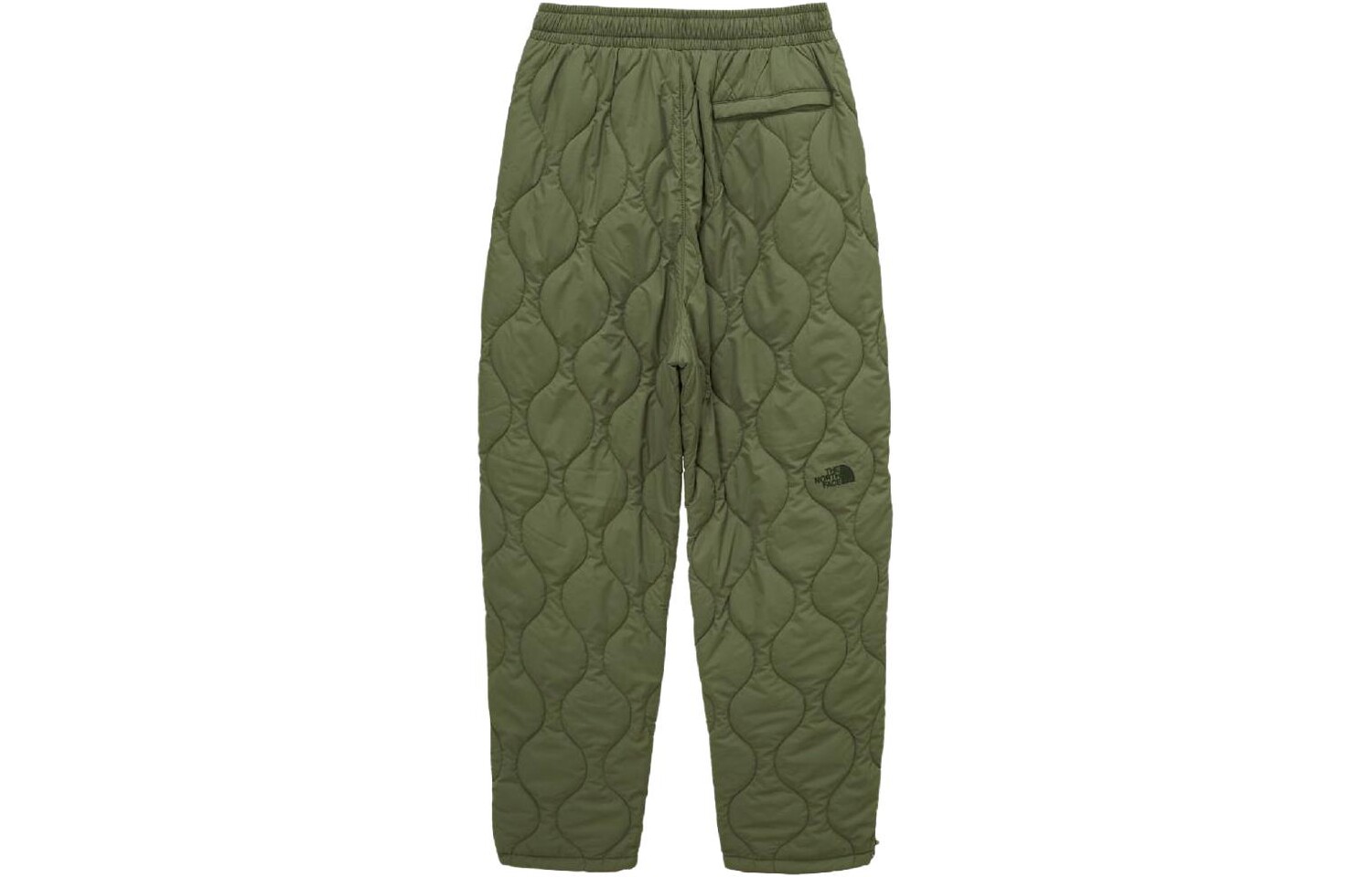 

Повседневные брюки мужские зеленые The North Face, зеленый