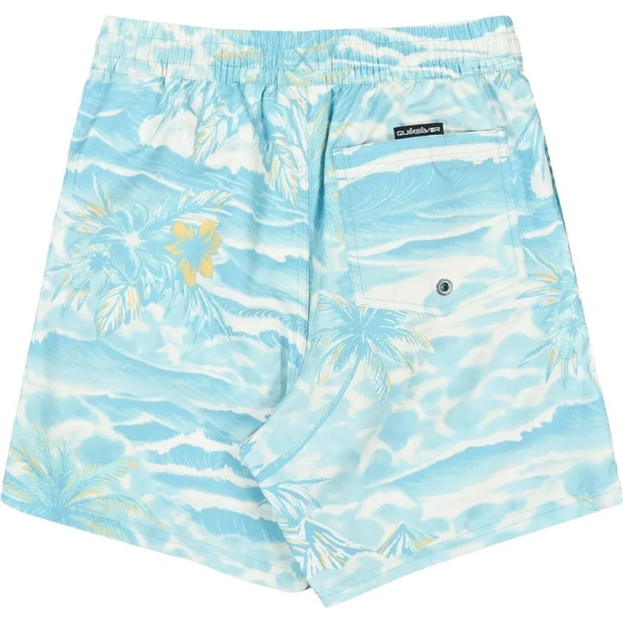 Плавки для мальчиков с принтом Quiksilver, Черный — фото 2