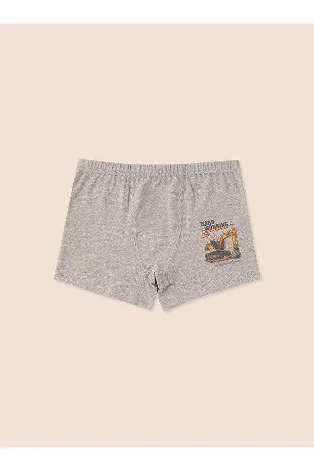 Детские трусы-боксеры для мальчиков хлопковые с принтом Organic Cotton Lycra Boxer 3-Piece Hard Working 3507-3 Natuline, Mixed — фото 4